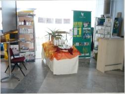 Messe Chur 2010